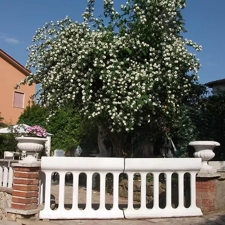Vittoria Colonna